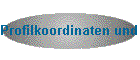 Profilkoordinaten und Polaren