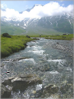 Gletscherbach auf der Engsligenalm