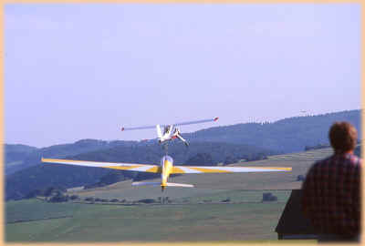 swift_mit_wilga_beim_start.jpg (58244 Byte)