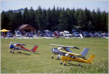 wilga_staffel.jpg (243820 Byte)
